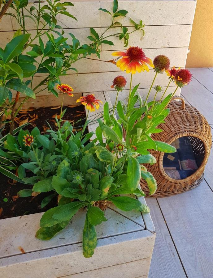 Apartmani Vrancic Mandre Bagian luar foto